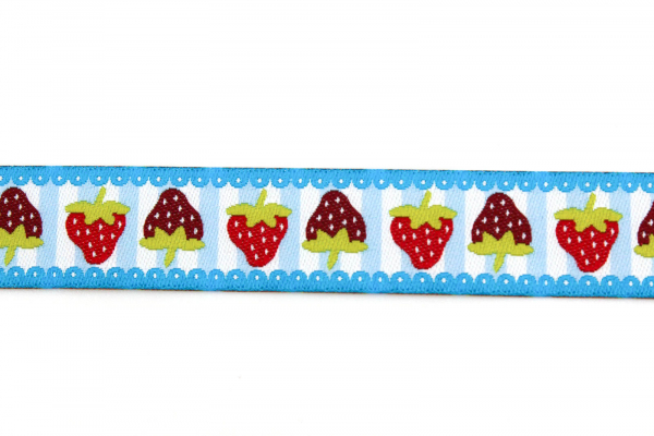 Webband Erdbeeren türkis (1 m)